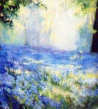 Bluebell Wood