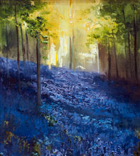 Bluebells