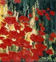 Poppies